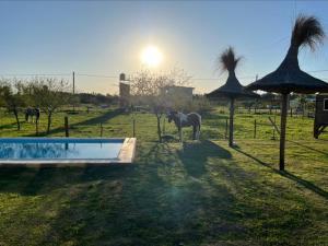 a horse standing in a field next to a pool at Ikigai in Concepción del Uruguay