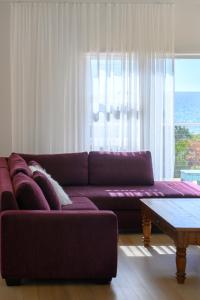 un soggiorno con divano viola e tavolo di Silver Hill ~ from farm cottage to splendid beachy vibes! a Bicheno