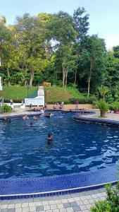 BINANCE @ Sri Sayang Beach Resort في باتو فيرينغي: مجموعة أشخاص يسبحون في مسبح