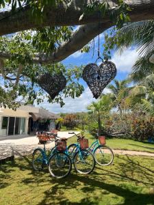 two bikes parked under a tree with hearts hanging from it at El Paraiso Hotel Tulum in Tulum