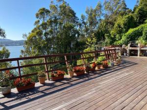 Casa y vista maravillosa, con piscina Coliumo Tomé في تومي: صف من النباتات الفخارية على سطح خشبي