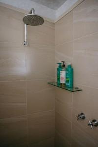 a bathroom with a shower with green bottles on a shelf at The PC Cottage in Port Campbell
