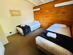 2 camas en una habitación con paredes de madera en Bicheno by the Bay, en Bicheno