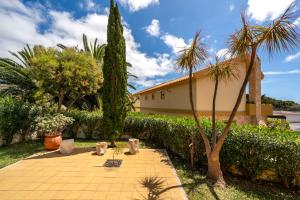 einen Innenhof mit einer Palme und einem Gebäude in der Unterkunft Casa de Férias by An Island Apart in Porto Santo