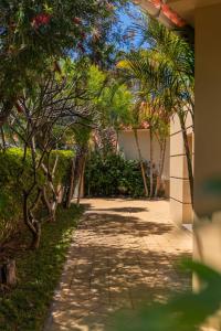 ein Gehweg mit Bäumen und einem Gebäude im Hintergrund in der Unterkunft Casa de Férias by An Island Apart in Porto Santo + 64 Fotos