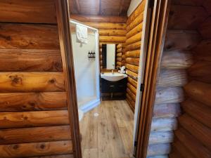 a bathroom with wooden walls and a sink and a mirror at Rainforest Retreat in Franz Josef