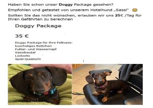 two pictures of a dog sitting in a car at Arcus Hotel München Messe in Feldkirchen