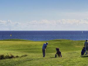 un hombre y un perro en un campo de golf en Holiday apartment on the golf course F35E en Fehmarn