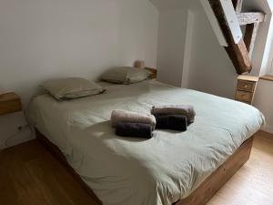 um quarto com uma cama com duas almofadas em Paris - Notre Dame - Panthéon - Luxembourg - 30 m2 em Paris