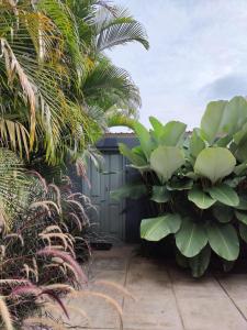 Zahrada ubytování Tropicopia