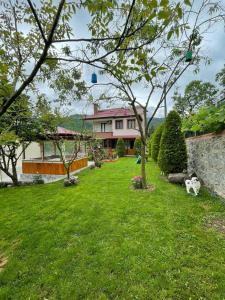 a green yard with a house and a building at Vinland Villa Atalar in Trabzon
