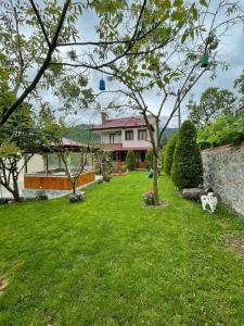 a green yard with a house and a building at Vinland Villa Atalar in Trabzon +63 photos