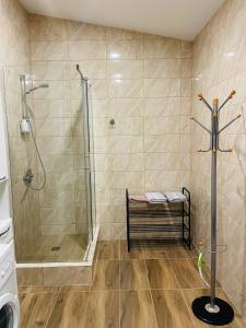 a bathroom with a shower and a sink and a toilet at Alvydo apartamentai in Kaunas