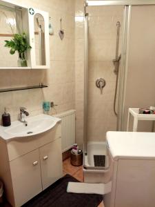 een badkamer met een douche, een wastafel en een douche bij Apartment Veronika in Vandoies