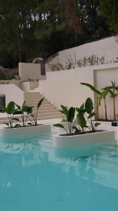 Bazén v ubytování Doc's Hotel Kemer nebo v jeho okolí
