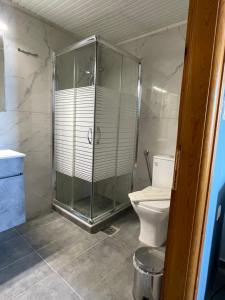 a bathroom with a shower and a toilet at 4Seasons Sfakia in Khóra Sfakíon