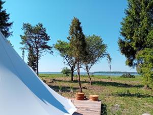 namiot z drzewami i polem w tle w obiekcie Pädaste Aerga Sunset Glamping w mieście Pädaste