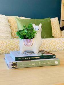 uma pilha de livros com uma estátua de um gato e uma planta em 29b Casa DeGregory, In the heart of Parap em Paraparap
