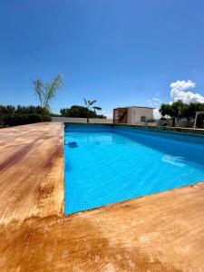 a blue swimming pool in the middle of a field at Villa Santo Stefano in Monopoli