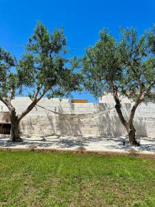 two trees in front of a stone wall at Villa Santo Stefano in Monopoli