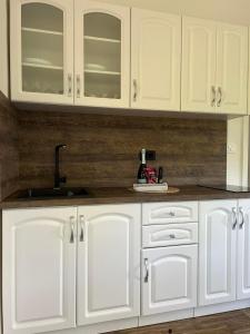 Nhà bếp/bếp nhỏ tại Holiday Home Kažeta Ankaran +47 ảnh