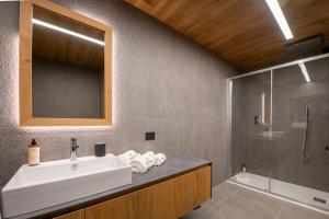 a bathroom with a sink and a shower at DALANIA MOUNTAIN APARTMENTS in Ponte di Legno