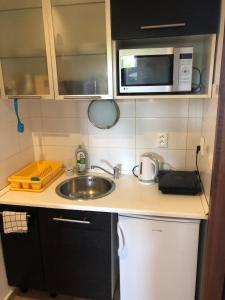 eine kleine Küche mit einer Spüle und einer Mikrowelle in der Unterkunft Red Apartment in Bratislava