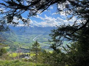 una vista attraverso gli alberi di una strada di montagna di Berggasthaus Matu a Triesenberg