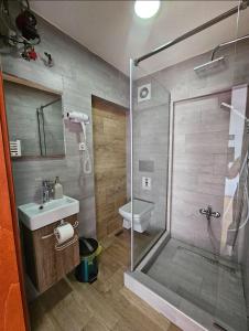 y baño con ducha, lavabo y aseo. en ON TOP Central Villa, en Kruševo