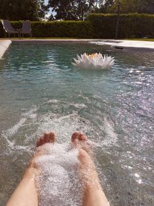 a persons feet in the water with a flower in the water at Albergo Torre in Vicenza