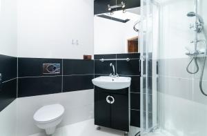 a bathroom with a toilet a sink and a shower at Willa Szafir z WIDOKIEM NA ZALEW in Krynica Morska