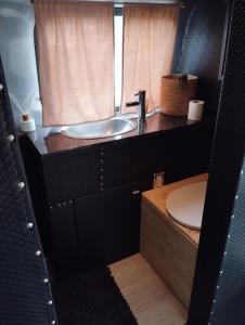 a bathroom with a sink and a toilet and a window at Hébergement Insolite VintageCAMP - proche de Beauval in Chabris