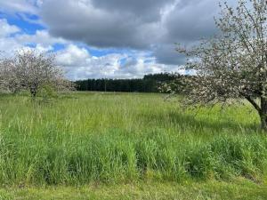 Fotografie z fotogalerie ubytování Gîte le village des champs v destinaci Soings-en-Sologne + 4 fotografie