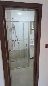 y baño con ducha y puerta de cristal. en Pensiunea Inima Daciei en Costeşti