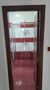 y baño con ducha de azulejos rojos y blancos. en Pensiunea Inima Daciei en Costeşti