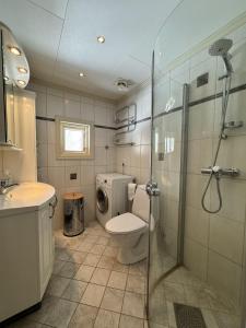 W łazience znajduje się prysznic, toaleta i umywalka. w obiekcie Koselig hytte med usjenert og solrik beliggenhet w mieście Geilo