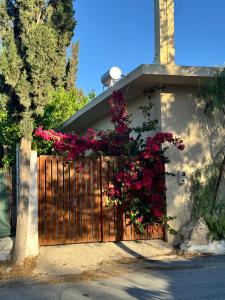 Φωτογραφία από το άλμπουμ του Perivoli Kamilari στο Καμηλάρι