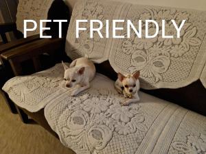 Dos perros acostados en un sofá con las palabras "se aceptan mascotas" en DOLPHIN ENCLAVE SERVICE STUDIO APARTMENTS en Kalpetta
