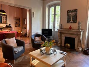 a living room filled with furniture and a fireplace at Cœur de ville, Garage privé et gratuit avec Terrasse ! in Cahors
