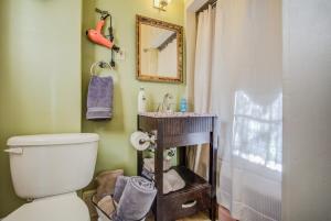 a bathroom with a toilet and a sink and a shower at Victorian Charm With Hot Tub & Fire Pit Downtown in Colorado Springs +59 photos