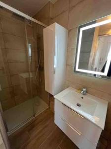 La salle de bains est pourvue d'un lavabo et d'une douche. dans l'établissement F3 au bord de la Marne, à deux pas de Paris +Box !, à Maisons-Alfort