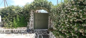 A garden outside Sweet Maisonette in Corfu Town