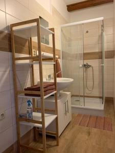 Koupelna v ubytování Apartmán U Růži