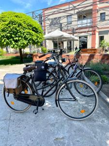 Jazda na bicykli v okolí ubytovania ART Pensjonat