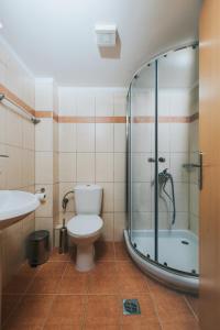 ケラモティにあるInside Apartmentのトイレ、シャワー、洗面台を備えたバスルーム