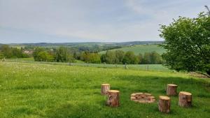 a group of tree stumps in the middle of a field at Maringotka Ovčárka in Čestín