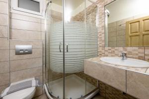 a bathroom with a shower and a toilet and a sink at Villa Roula in Koinyra