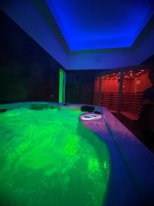 a hot tub with green water in a room at Hotel Butterfly Wellness & Spa in Rimini