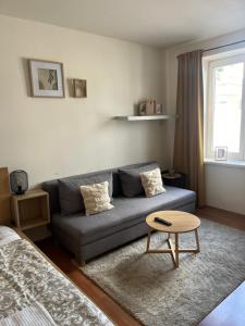 a living room with a couch and a table at SATYS Apartments in Ostrava