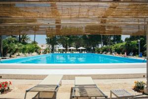 a large swimming pool with two benches in front of it at Blu Sun Apartment in Complesso Riva del Sole in Giovinazzo
